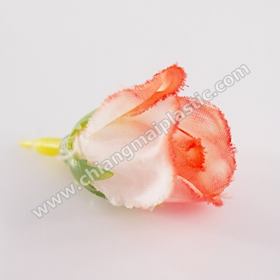 ดอกกุหลาบตูม สีขาวปลายส้มโอลด์โรส