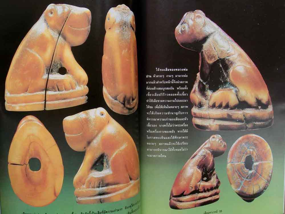 หนังสือ เสือ มหาเวทย์ 5