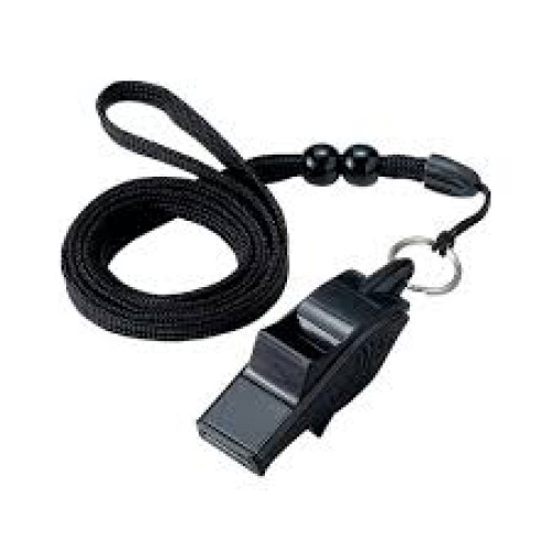 นกหวีดผู้ตัดสิน รูปปลาโลมา referee whistle 