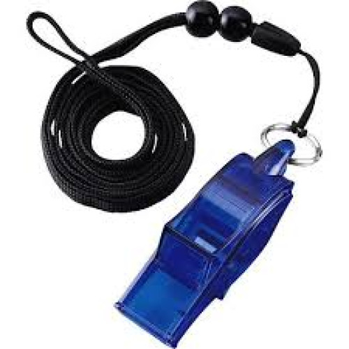 นกหวีดผู้ตัดสิน รูปปลาโลมา referee whistle 