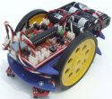 60113 หุ่นยนต์ MICRO AVR (Built-in programmer)