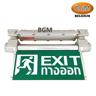 Exit light battery pack Ex de IIB T6 BGM