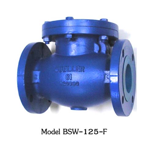 MUELLER รุ่น BSW-125-F SWING CHECK VALVE  Cast Iron Body & Cover Size 6