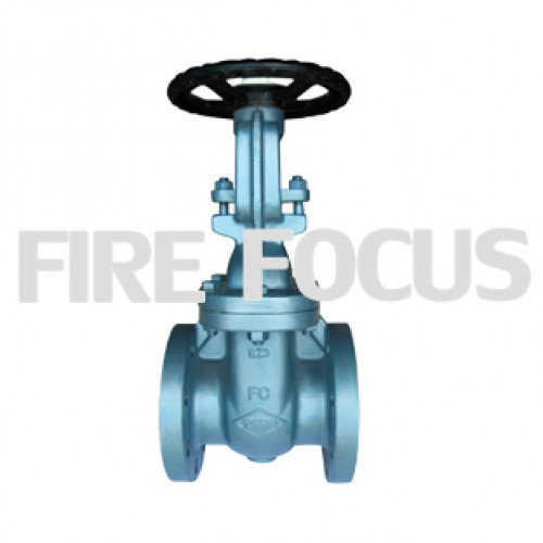 TOYO รุ่น 514 Class 125 Cast Iron Gate Valve Flanged Ends Size 3
