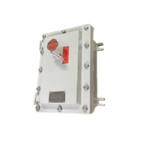 BGM รุ่น ECB/EPNL Control Box Flameproof and Dust Protection by Enclosure