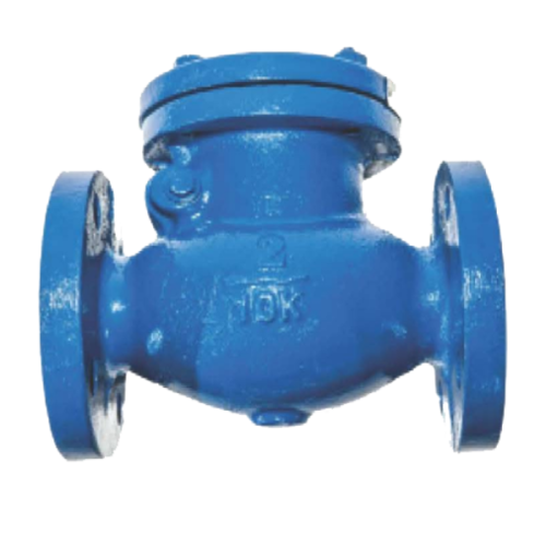 KISTLER รุ่น SCV-602080_BS Swing Check Valve Cast Iron Valve 