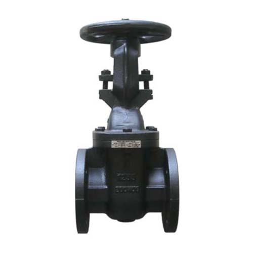 MUELLER รุ่น 0125-F Cast Iron Body Gate Valve Size 2-1/2''