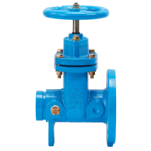 WATTS 405-NRS-RW NRS Flanged Gate Valves