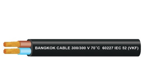 BCC รุ่น VKF 2 Cores-Ordinary Polyvinyl Chloride sheathed Cord 300/500 V 70 ํ