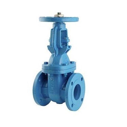 TOZEN รุ่น T-CGV-A Cast Iron Rising Stem Gate Valve Size 2-1/2''