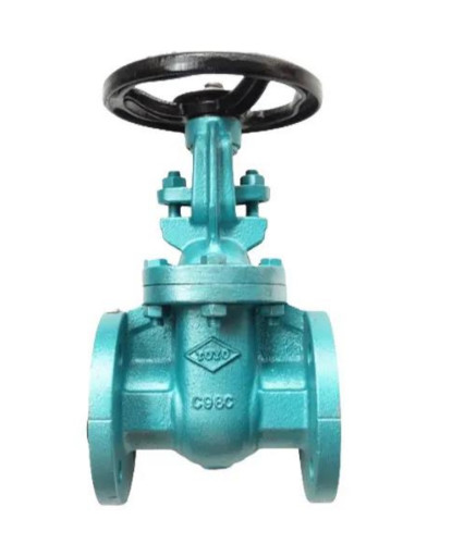 TOYO รุ่น 420AF Gate Valve Cast Iron Flanged 10 k Size 2.1/2