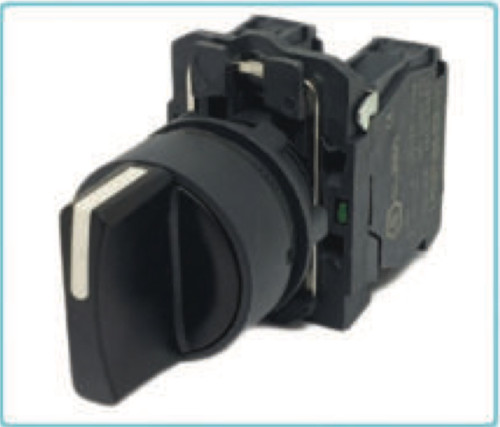 Elzen LA167-B5 PUSH-BOTTON SWITCH LA167-B5-AD25 ราคา 63 บาท