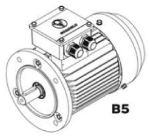 ND THREE-PHASE CAST IRON ASYNCHRONOUS MOTOR 90KW 125HP FRAME 315L 8P. 750RPM. FLANGE B5 IE1 ราคา 154
