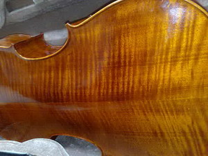 เชลโล่ ยี่ห้อ G1 Germany คุณภาพดีเยี่ยม รุ่นสั่งทำพิเศษ 9