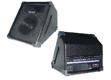 RECORD POWERED STAGE MONITOR รุ่น RPM12