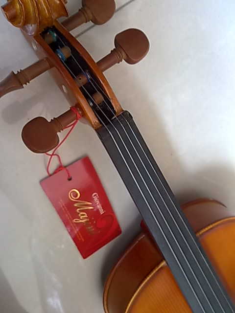 ไวโอลีน GIOVANNI MAGINI รุ่น 002(รุ่นพิเศษสีด้าน)หลังลายงาน4/4 hand craftd หย่องMADE in GERMANY 3