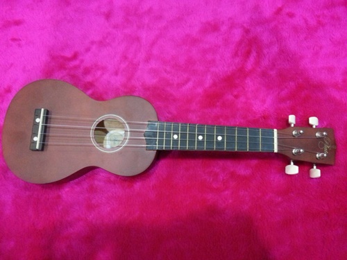 อูคูเลเล่ ราคาถูกPLATO (PU2)Soprano ukulele 21