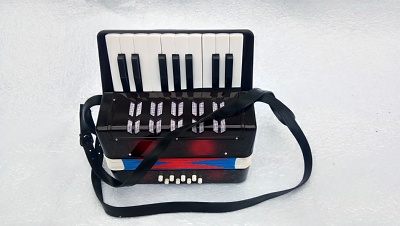 แอคอเดี่ยน (Accordion) 1