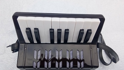 แอคอเดี่ยน (Accordion) 3