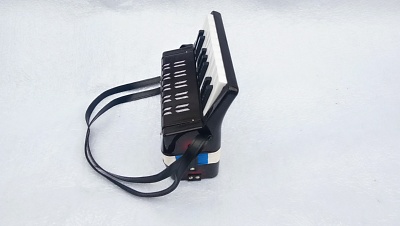 แอคอเดี่ยน (Accordion) 7