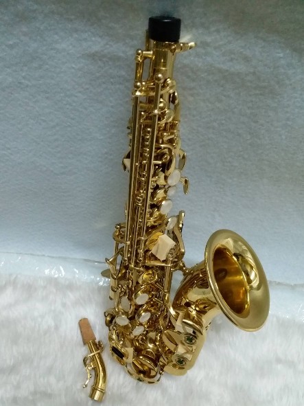 โซปราโน่เคิ้ฟ Soprano Curve Saxophone Wisdom FCS-100L 2