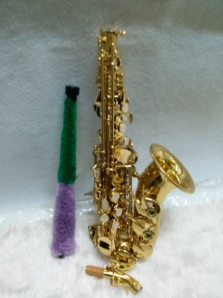 โซปราโน่เคิ้ฟ Soprano Curve Saxophone Wisdom FCS-100L 9