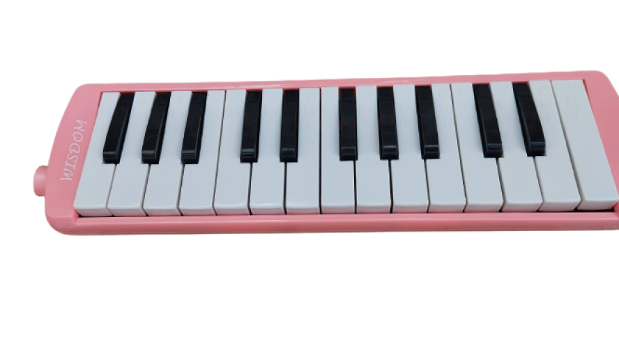 เมโลเดียน 25 คีย์ลายการ์ตูนยี่ห้อ wisdom 25key สีชมพู มีโน๊ตเมโลเดียนบนคีย์ ตัวละ 376 บาท10ตัวลดได้ 6