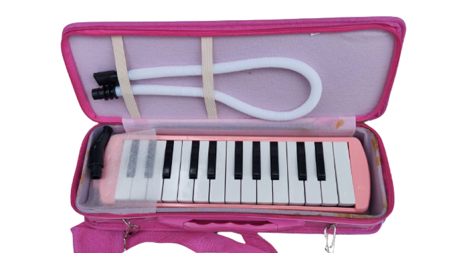 เมโลเดียน 25 คีย์ลายการ์ตูนยี่ห้อ wisdom 25key สีชมพู มีโน๊ตเมโลเดียนบนคีย์ ตัวละ 376 บาท10ตัวลดได้ 4