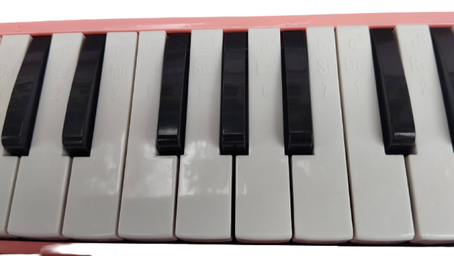 เมโลเดียน 25 คีย์ลายการ์ตูนยี่ห้อ wisdom 25key สีชมพู มีโน๊ตเมโลเดียนบนคีย์ ตัวละ 376 บาท10ตัวลดได้ 5