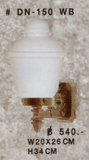 DN-150 WB