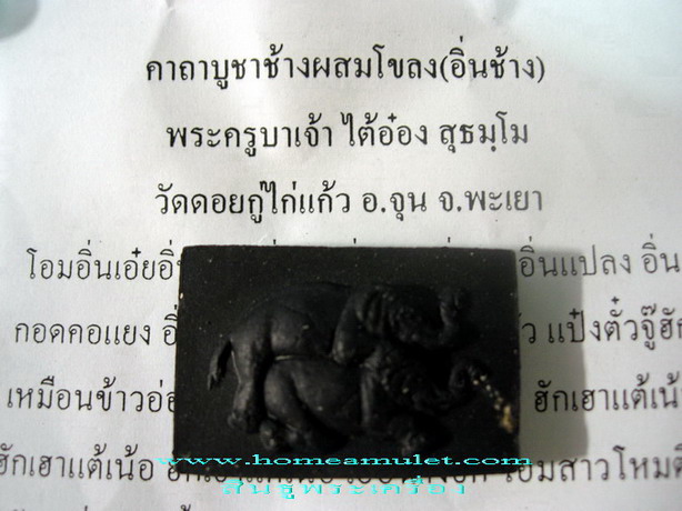 ช้างผสมโขลง(อิ่นช้าง)  พระครูบาเจ้าใต้อ๋อง วัดดอยกู่ไก่แก้ว อ.จุน จ.พะเยา 2