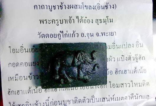 ช้างผสมโขลง(อิ่นช้าง)  พระครูบาเจ้าใต้อ๋อง วัดดอยกู่ไก่แก้ว อ.จุน จ.พะเยา 2