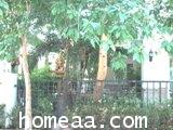 บ้านเดี่ยว 2 ชั้น หมู่บ้านสกุลธร (วัชรพล) เนื้อที่ 55 ตร.วา สภาพสวยพร้อมอยู่ 4
