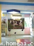 กิจการร้านนมสดพร้อมเฟรนไชส์  ถ.ลาดปลาเค้า ร้านแดรี่ฟาร์ม เนื้อที่ 120 ตร.ม.  พร้อมกิจการ 4