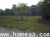 ที่ดินเปล่า หมู่บ้านมงคลชัยแลนด์ รวม 3 แปลง ติดกัน เนื้อที่ 270 ตร.วา คลองหลวง หนองเสือ 3