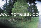 ที่ดินเปล่าถมแล้ว ถ.สุขุมวิท จ.ตราด เนื้อที่ 3ไร่381.70 ตร.วา ทำเลดี การเดินทางสะดวก 2