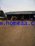 ที่ดินพร้อมโรงงาน ถ.พหลโยธิน เนื้อที่ 2 ไร่ ต.เชียงรากน้อย บางปะอิน พระนครศรีอยูธยา ทำเลดี
