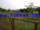 ที่ดินเปล่าถมแล้ว ถ.เลียบคลอง เนื้อที่ 204 ตร.วา ถ.กาญจนาภิเษก บ้านใหม่ บางใหญ่ นนทบุรี 5