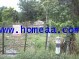 ที่ดินเปล่าถมแล้ว ถ.เลียบคลอง เนื้อที่ 204 ตร.วา ถ.กาญจนาภิเษก บ้านใหม่ บางใหญ่ นนทบุรี