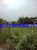 ที่ดินเปล่าถมแล้ว ถ.เลียบคลอง เนื้อที่ 204 ตร.วา ถ.กาญจนาภิเษก บ้านใหม่ บางใหญ่ นนทบุรี 4