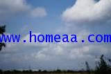 ที่ดินเปล่า ถ.เลียบทางด่วนมอเตอร์เวย์ (บางนา) เนื้อที่ 46 ไร่ 2 งาน 48ตร.วา บางปะกง ฉะเฃิงเทรา 1
