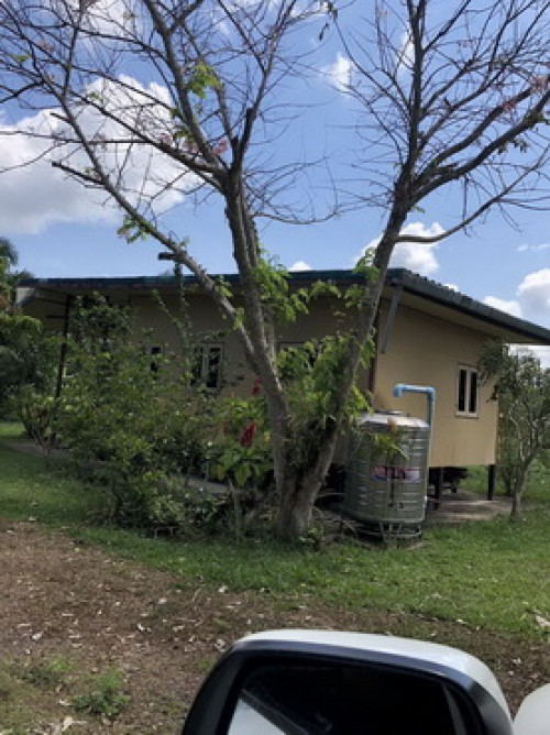 ที่ดิน พร้อมบ้าน และสวนเกษตร ซอยเนินทอง เนื้อที่ 30ไร่ ต.ตะโก อ.ทุ่งตะโก จ.ชุมพร (L0263) 4