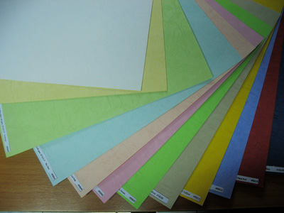 กระดาษหนังช้างนอก 140แกรม A4 (100แผ่น/ห่อ)