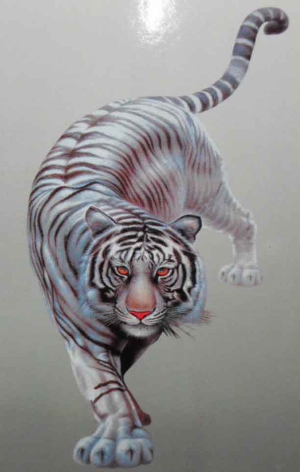 ภาพเสือขาว