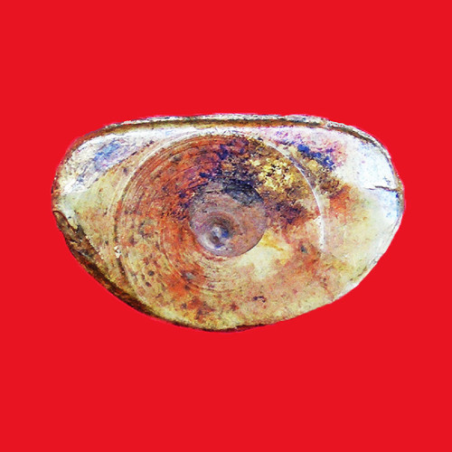 รูปหล่อหลวงพ่อเงิน บางคลาน ปี 16 เลข ๒ เนื้อทองเหลือง วัดบางคลานจัดสร้าง ปี 2516 5