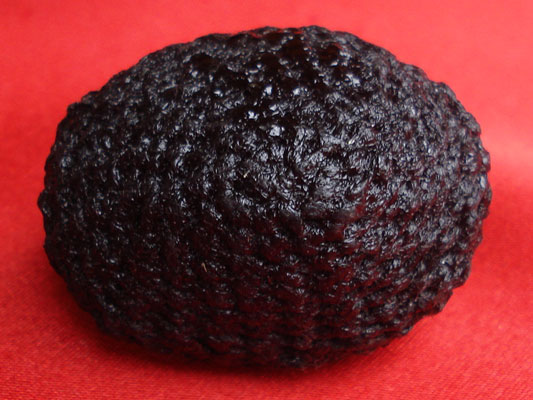 เบี้ยแก้ หลวงปู่เจือ วัดกลางบางแก้ว ถักเชือกชุบรักแบบ 2 หู  บูชาจากวัดโดยตรง 1