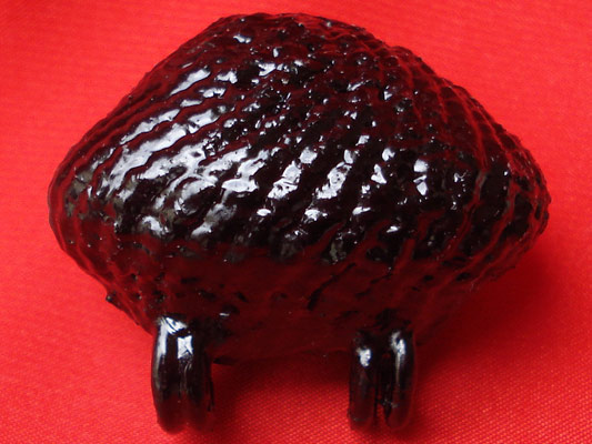 เบี้ยแก้ หลวงปู่เจือ วัดกลางบางแก้ว ถักเชือกชุบรักอย่างหนา แบบ 2 หู  บูชาจากวัดโดยตรง