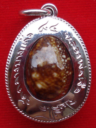 เบี้ยแก้หุ้มเงิน หลวงปู่เจือ วัดกลางบางแก้ว ขนาดเล็กกระทัดรัด แบบห่วงเดี่ยว สุดสวย พร้อมจารด้านหลัง