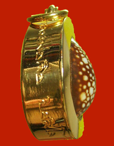 เบี้ยแก้หุ้มทองคำแท้ หลวงปู่เจือ วัดกลางบางแก้ว แบบห่วงเดี่ยว สุดสวย หรูหรา พร้อมจารด้านหลัง หายาก 1