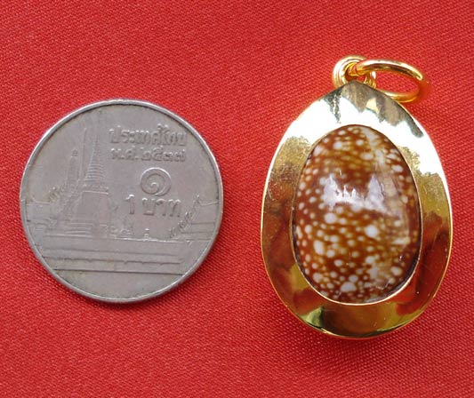 เบี้ยแก้หุ้มทองคำแท้ หลวงปู่เจือ วัดกลางบางแก้ว แบบห่วงเดี่ยว สุดสวย หรูหรา พร้อมจารด้านหลัง หายาก 4